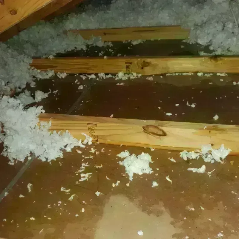 Attic Water Damage in Saint Paris, OH