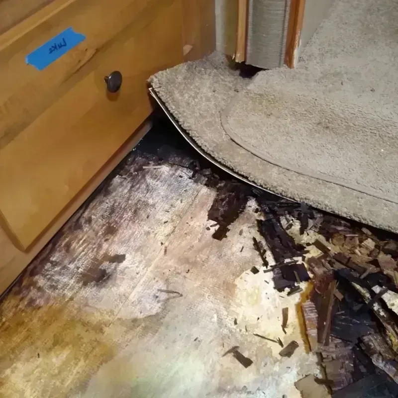 Wood Floor Water Damage in Saint Paris, OH